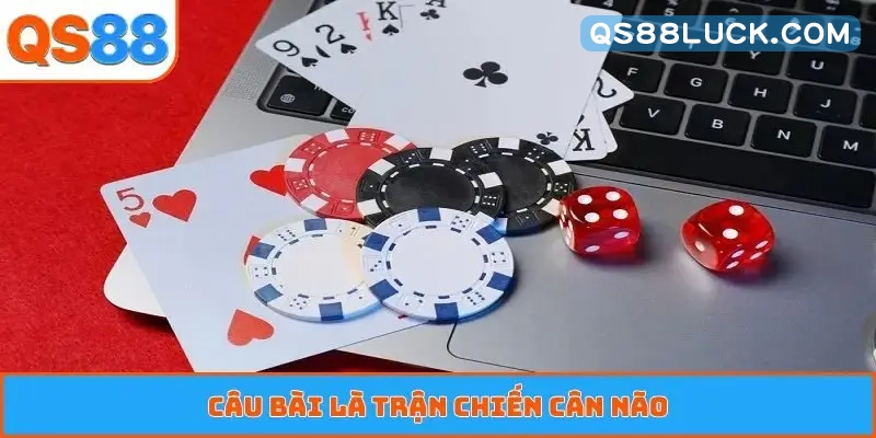 Câu bài là trận chiến cân não